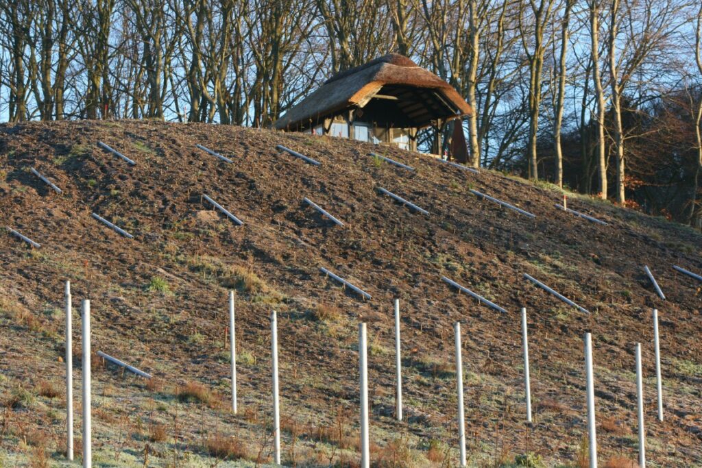 Opsætning af de ca. 150 mellemstolper (3″ jernrør) på vinmarken er i gang.