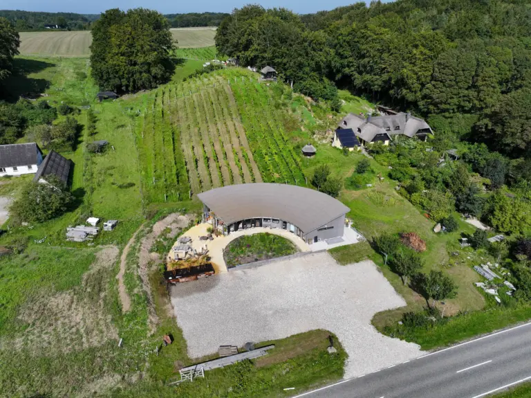 Drone billede af Koruplund vingård