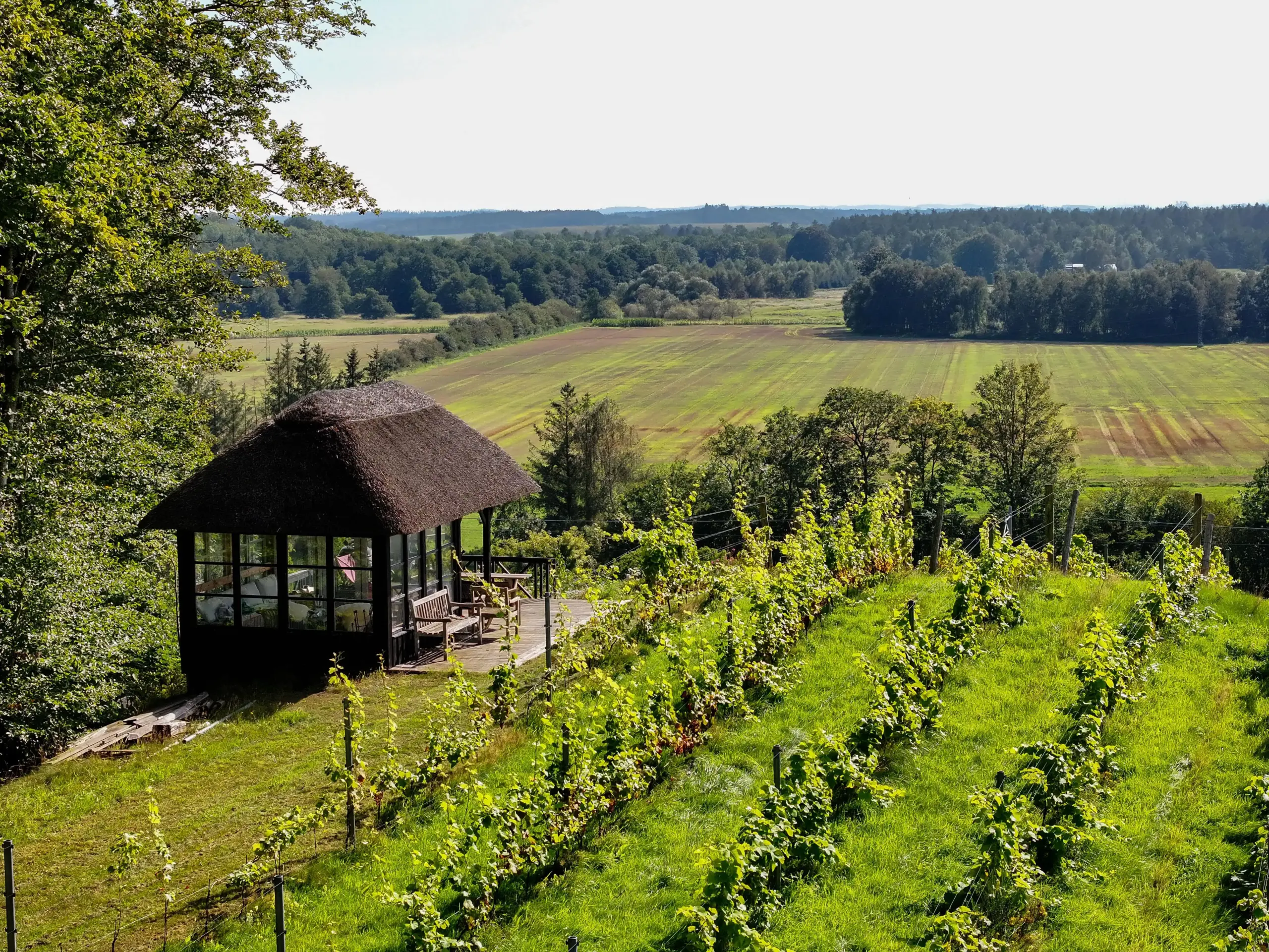 Read more about the article Grand Opening