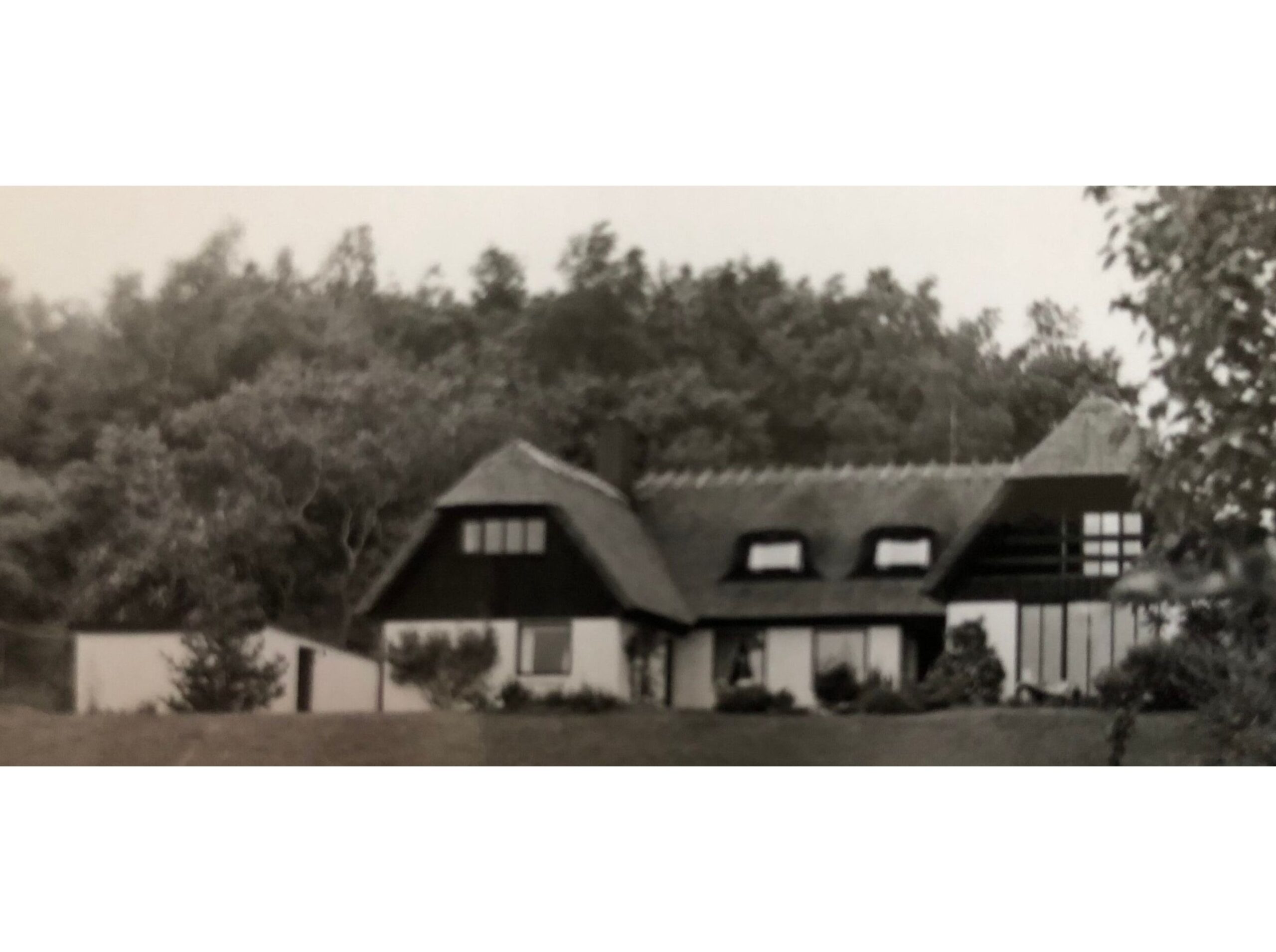 Read more about the article Historien om Koruplund