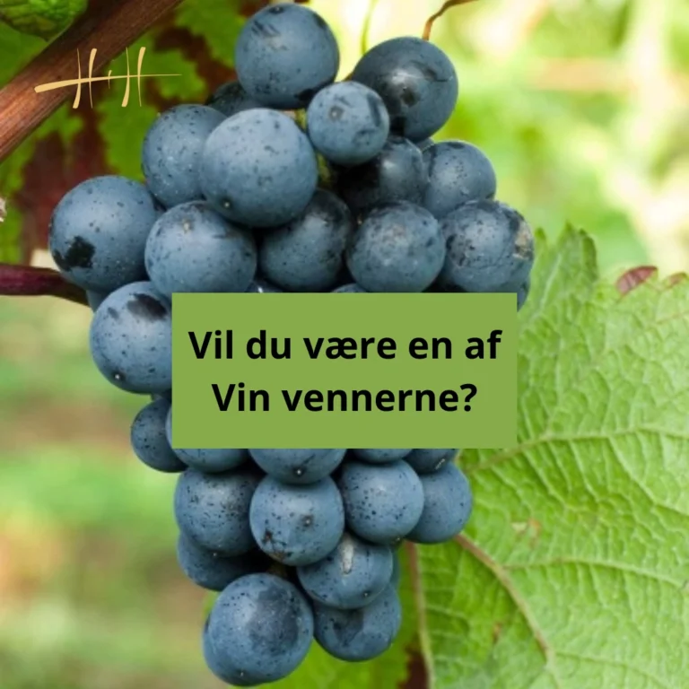 Read more about the article Vin vennerne