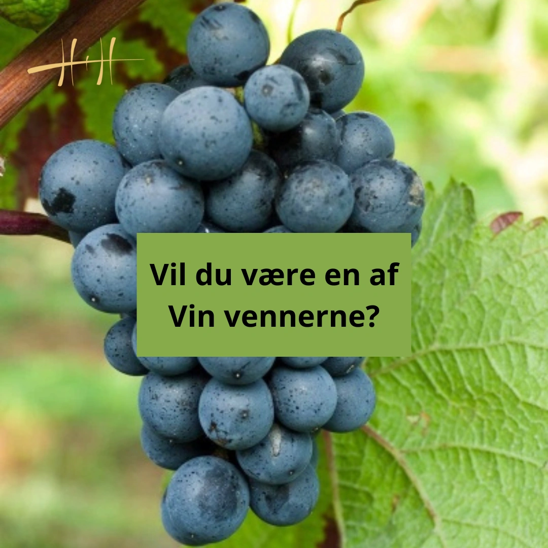 Read more about the article Vin vennerne