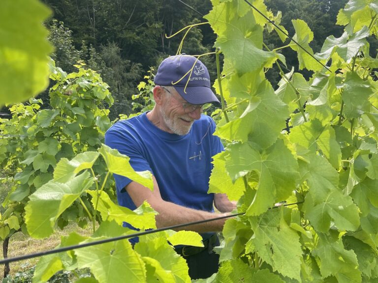 Read more about the article Vin vennerne