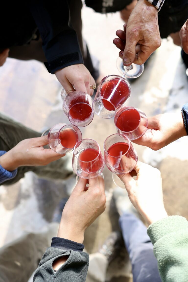 Skål i Perla Danica