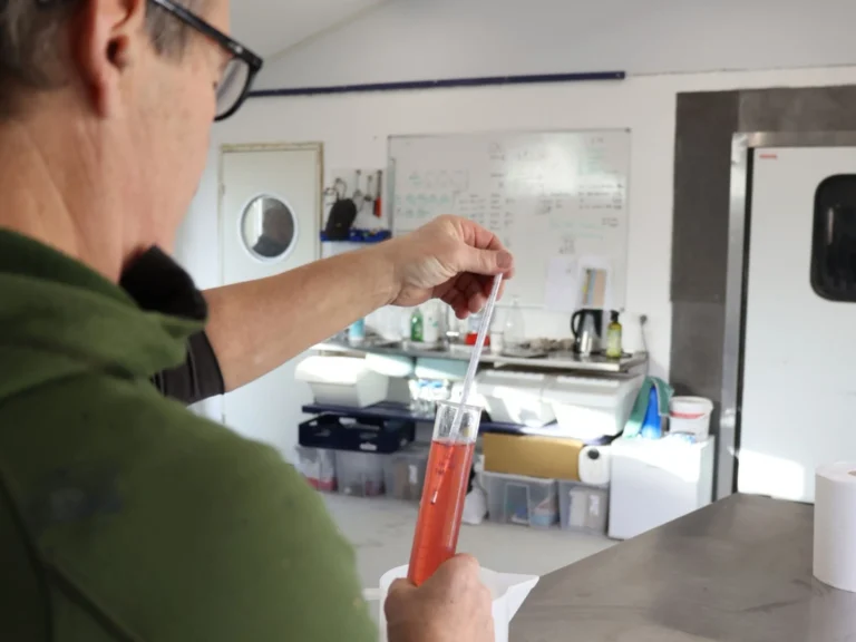 Read more about the article Fra most til vin – primær gæringens rolle i vores mousserende vine